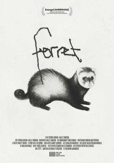 Ferret poster