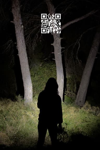 Q.R. poster
