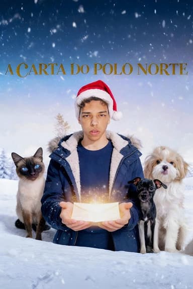 A Carta do Polo Norte poster