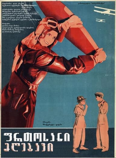 The Flying Painter poster