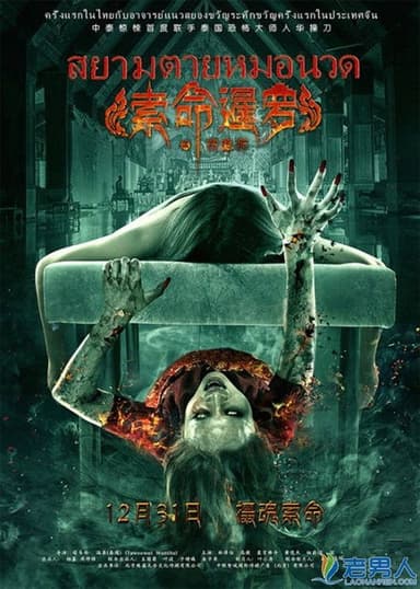 Massagist poster