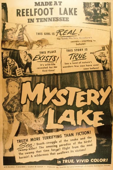 Mystery Lake poster
