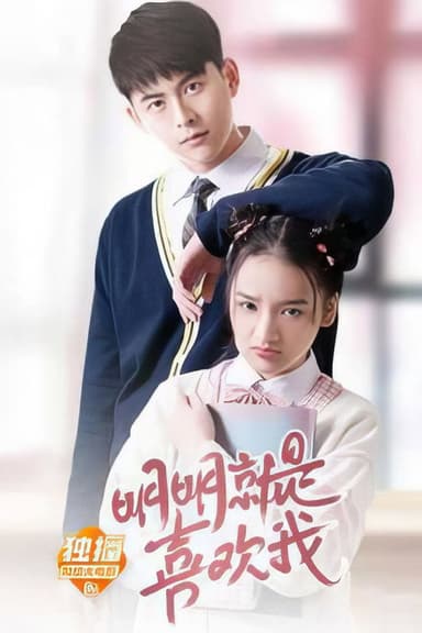 明明就是喜欢我 poster