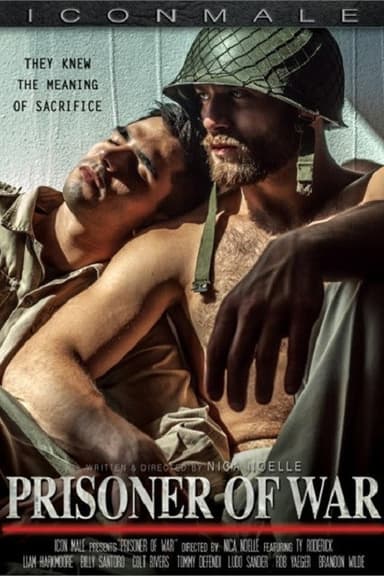 Prisoner of War poster