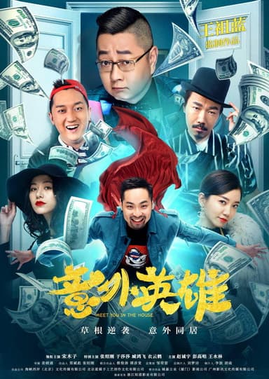 Accidental Hero poster