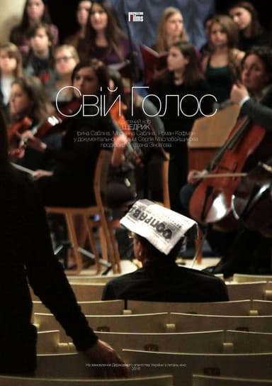 Own Voice poster