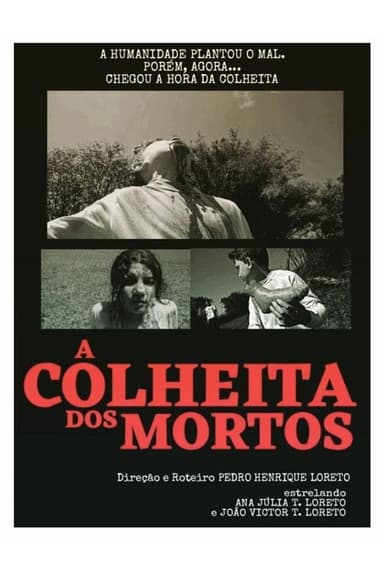 A Colheita dos Mortos poster