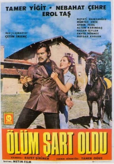 Ölüm Şart Oldu poster