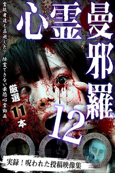 Psychic Manjara 12 poster