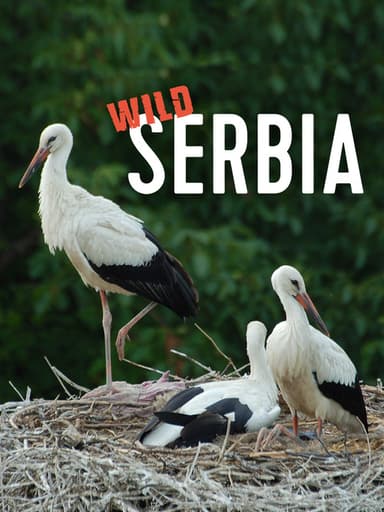 Wild Serbia poster