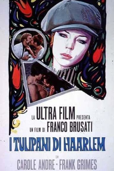 Tulips of Haarlem poster