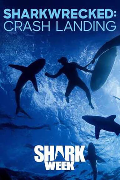 Sharkwrecked: Crash Landing poster