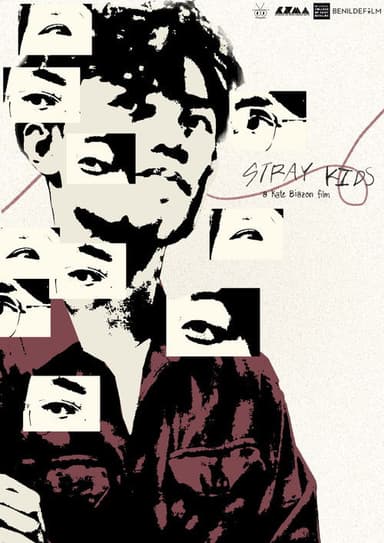 Stray Kids poster