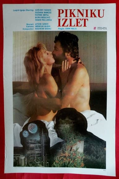 The Picnic poster