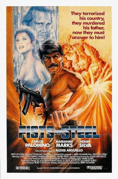 Fists Of Steel poster