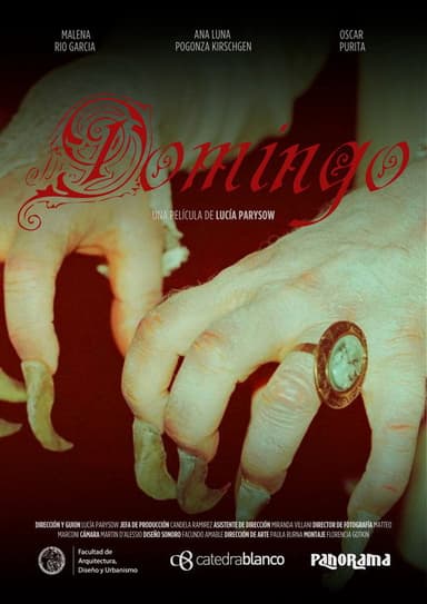 Domingo poster
