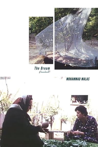 The Dream poster