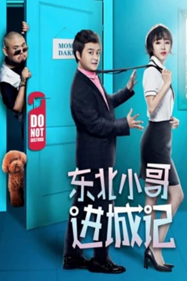 东北小哥进城记 poster