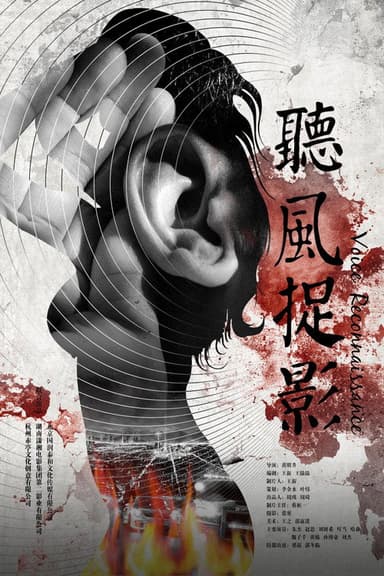 Voice Reconnaissance poster