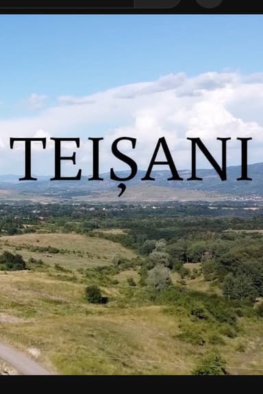 Made in Teișani poster