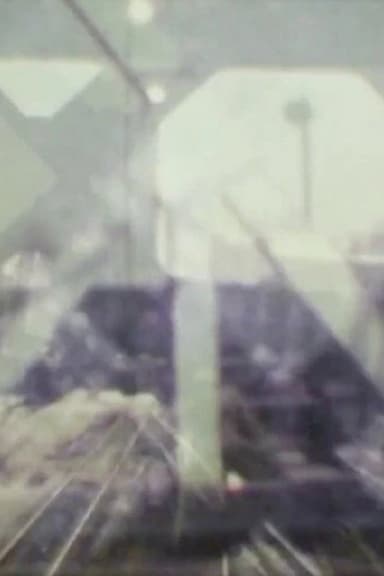 The Bridge poster