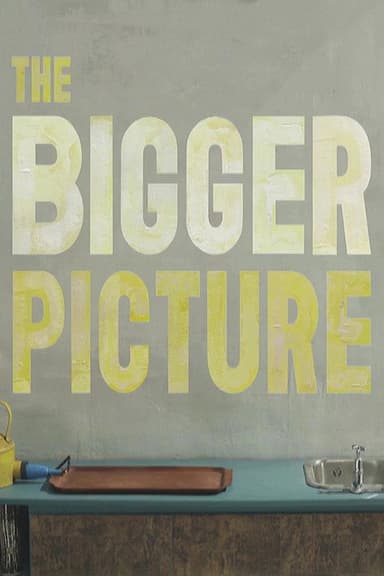 The Bigger Picture poster