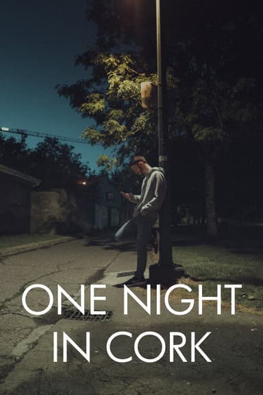 One Night in Cork poster