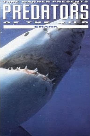 Predators of the Wild: Shark poster
