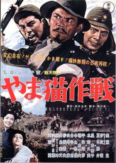 Operation Enemy Fort poster