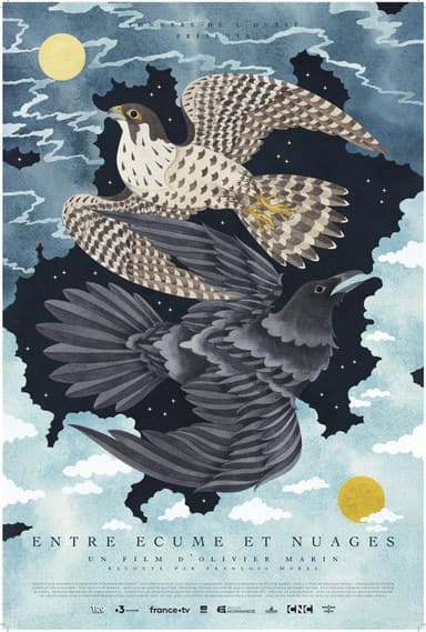 Entre Écume et nuages poster