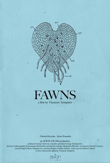 Fawns poster