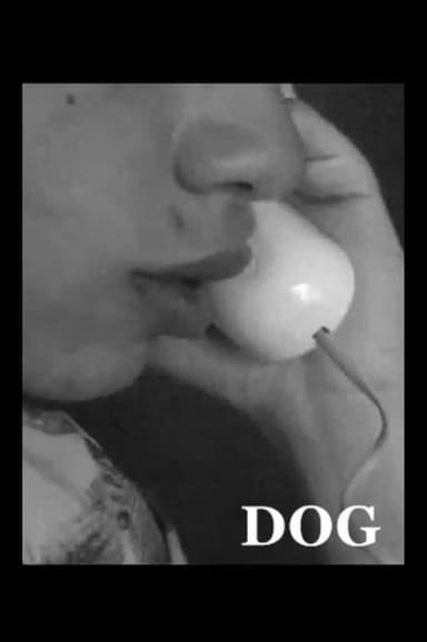 Dog poster