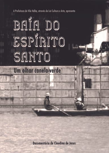 Baía do Espírito Santo – Um olhar canela-verde poster