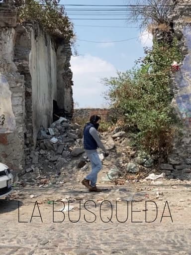 La Búsqueda poster