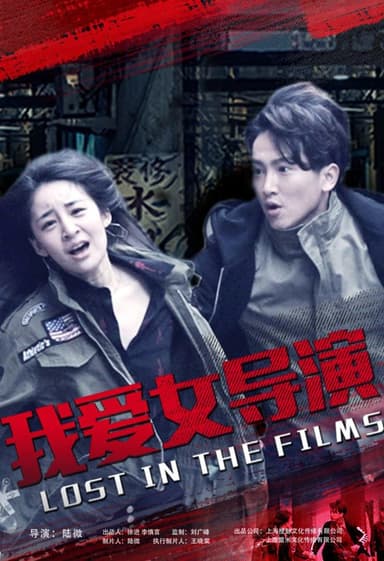 Lost in the Films poster