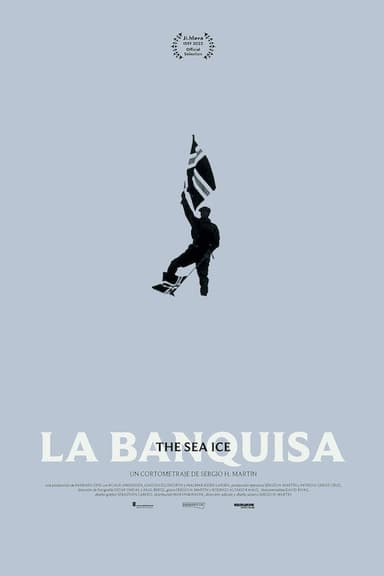 The Sea Ice poster