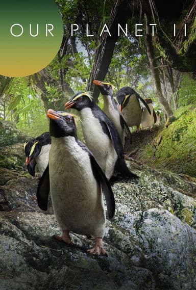 Our Planet II poster
