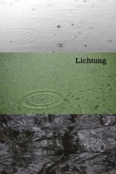 Lichtung poster