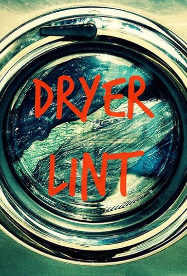 Dryer Lint poster