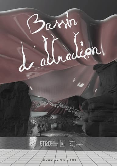 Bassin d'attraction poster