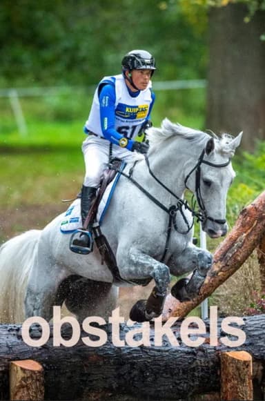 Obstacles poster