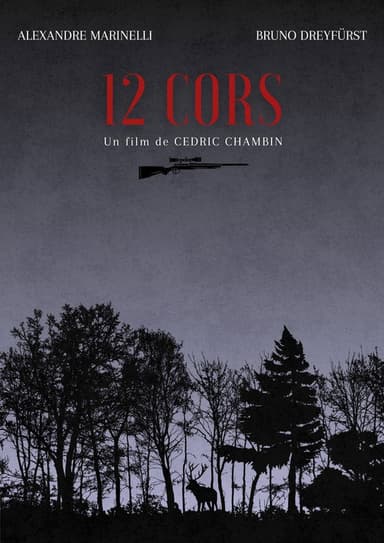 12 Horns poster