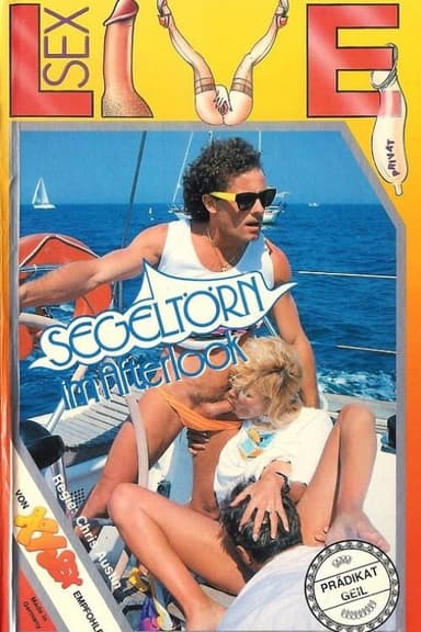 Segeltörn im Afterlook poster