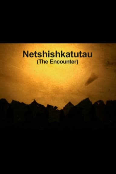 The Encounter poster