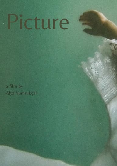 Picture poster
