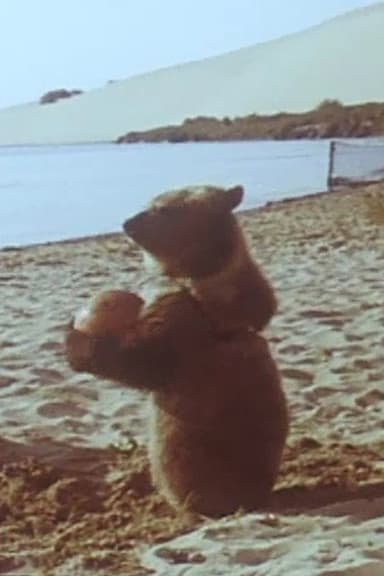 Little Bear poster