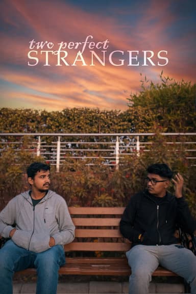 Two Perfect Strangers poster