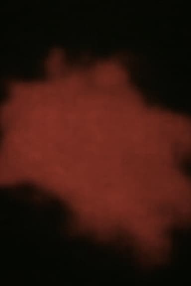 Song 20 poster