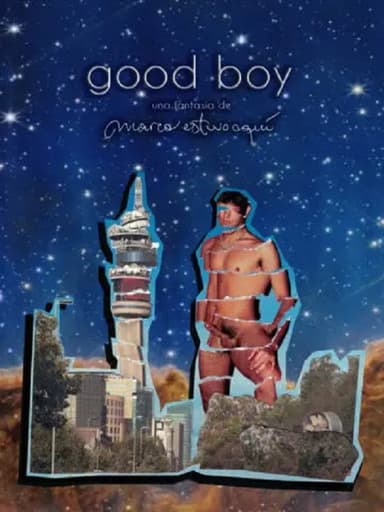 Good Boy poster