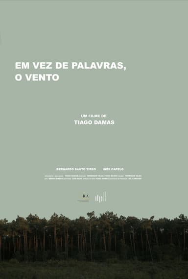 Em vez de palavras, o vento poster